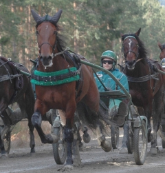 Ugly Duckling 160318-9